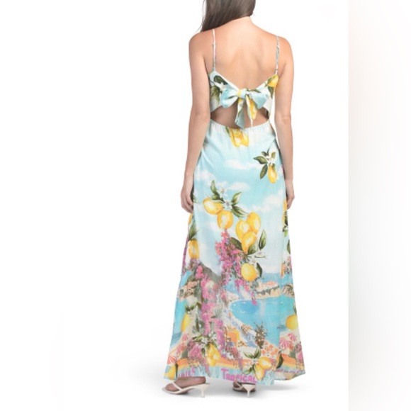 NWT Paper Heart seaside beach scene Lemoncello linen blend Maxi Dress - S - Picture 2 of 15